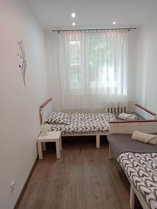 Apartament Queen Malbork Esterno foto